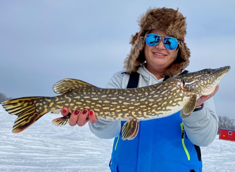 Experience the Thrill of Ice Fishing with Live Casino Action in the UK
